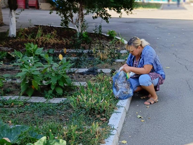 Субботник